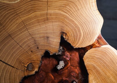 Detail dřeva odkládacího stolku Laios